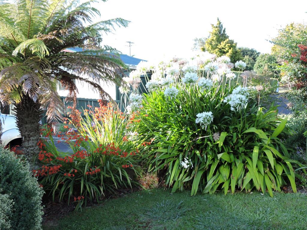 Maple Lodge Motel Matamata Εξωτερικό φωτογραφία