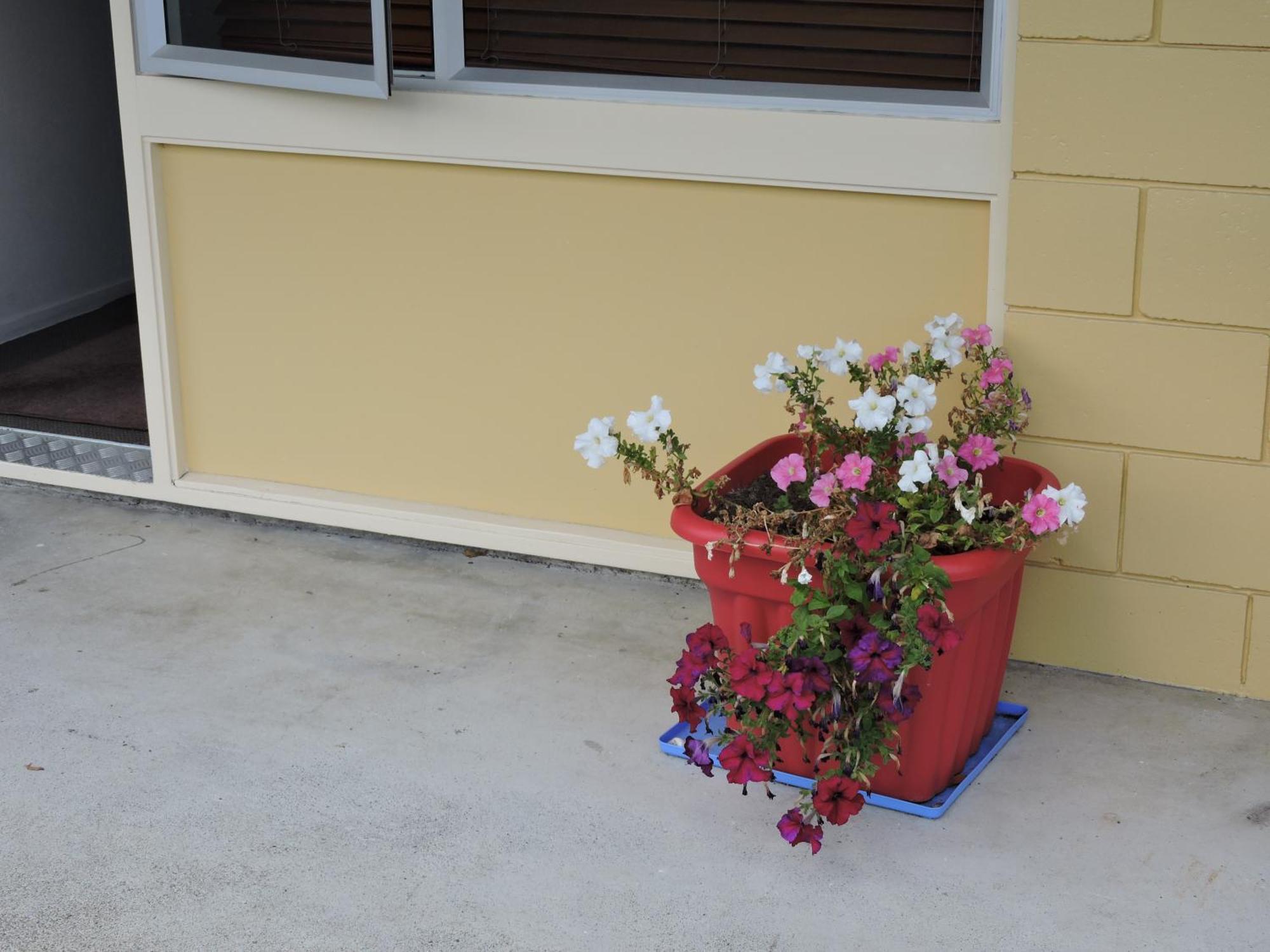 Maple Lodge Motel Matamata Εξωτερικό φωτογραφία