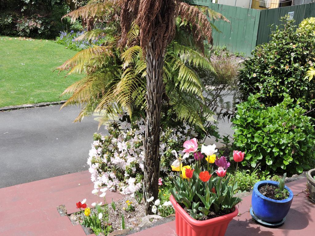 Maple Lodge Motel Matamata Εξωτερικό φωτογραφία