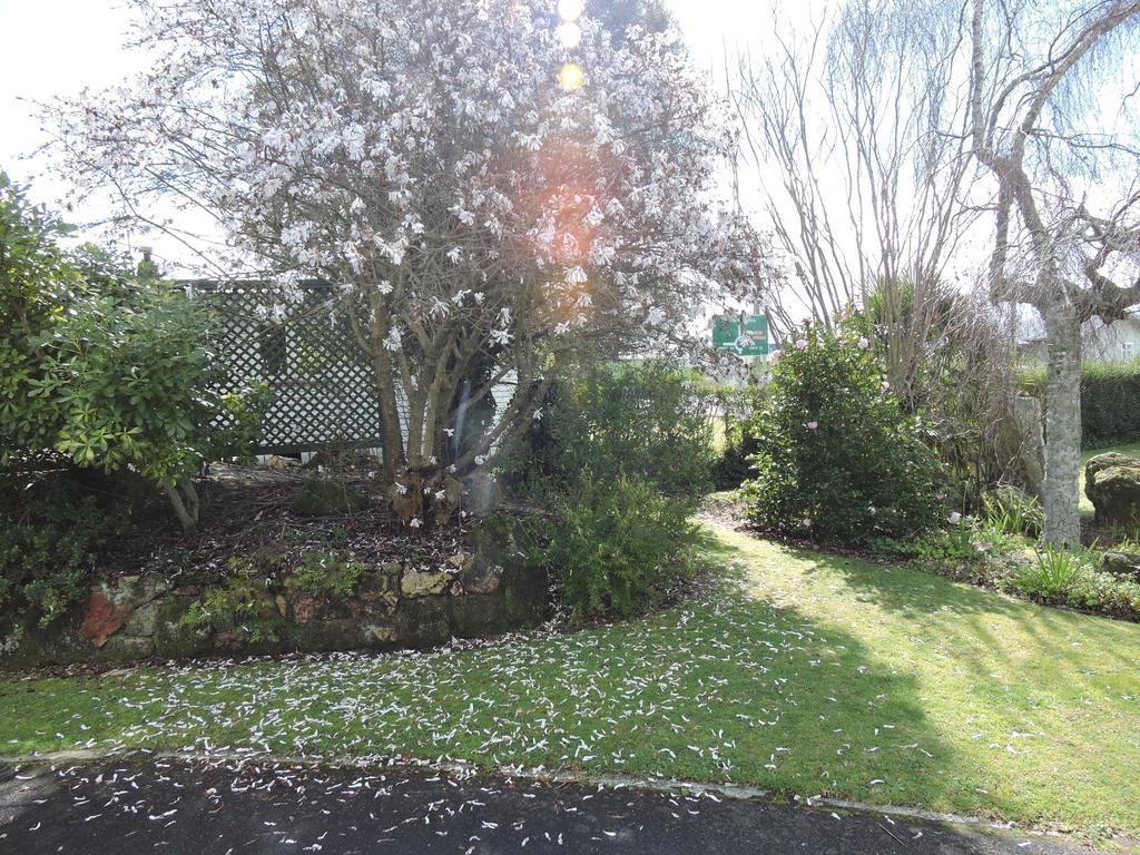 Maple Lodge Motel Matamata Εξωτερικό φωτογραφία